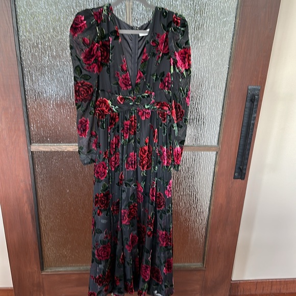 Rachel Parcell Burnout Velvet Dress size 4. - Picture 5 of 13